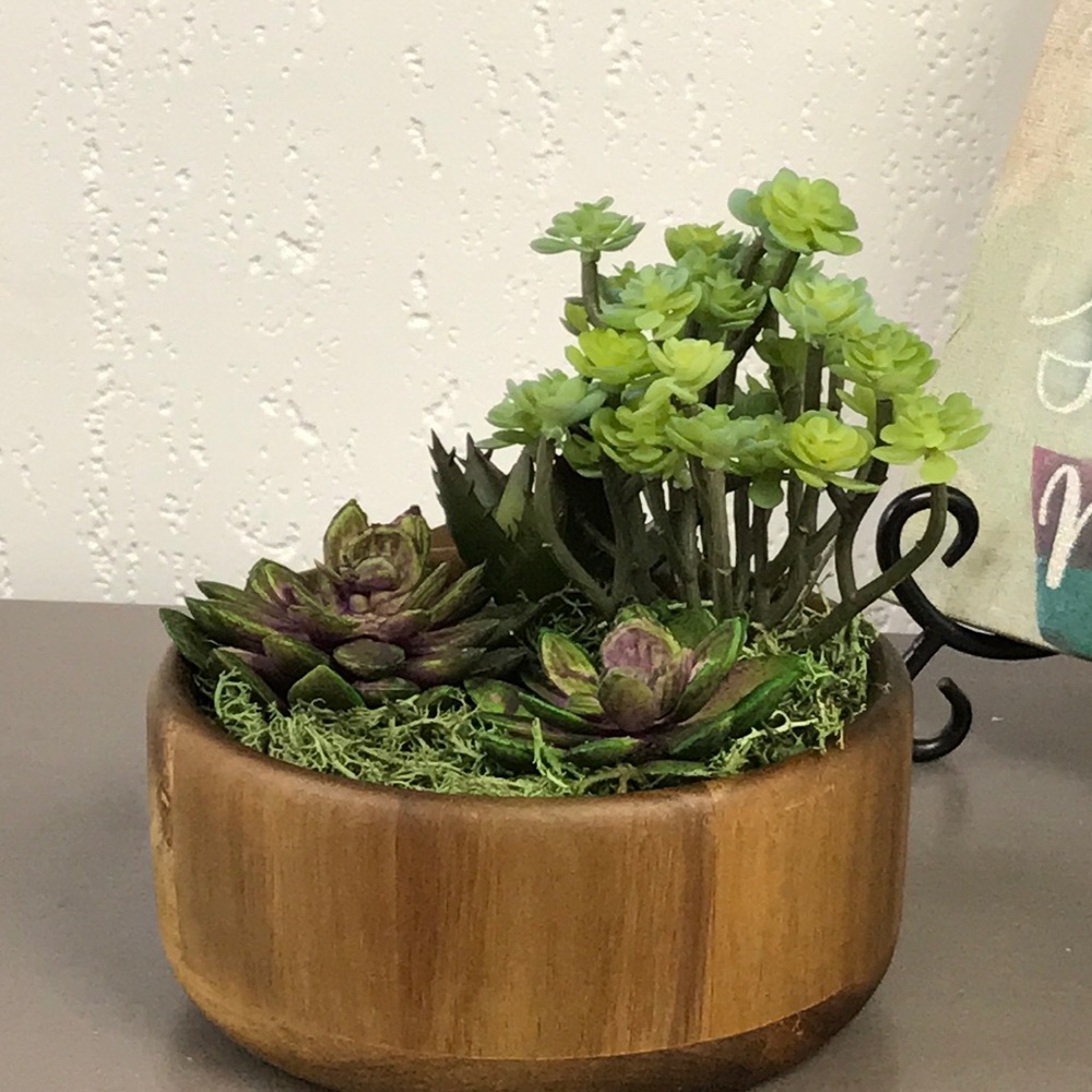 Wooden Bowl - Succulent Arrangement